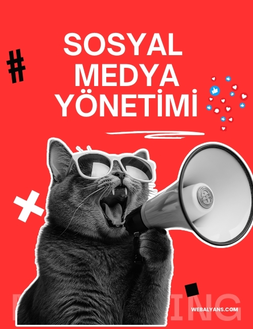 Sosyal Medya Yönetimi ve Reklamları